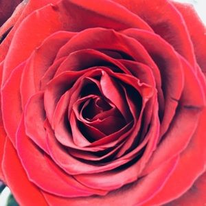 Meet your Posher, Kathryn